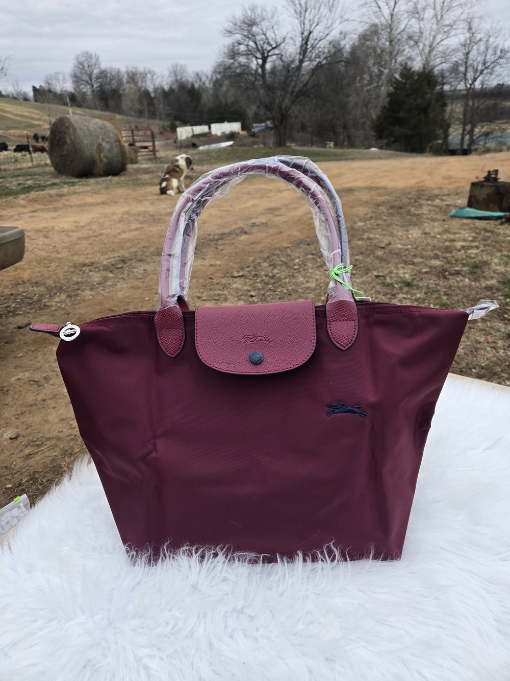 Le PLIAGE LARGE TOTE BAG BURGUNDY